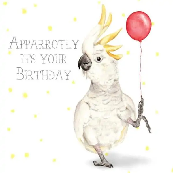 greeting card apparrotly its your birthday3