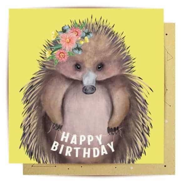 greeting card echidna birthday1