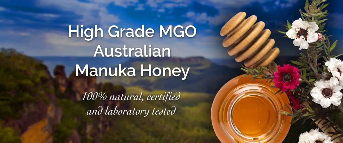 Manuka Honey Image Banner 1200x500 V4