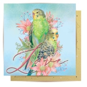 greeting card budgerigars