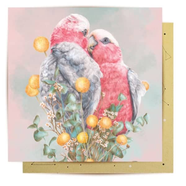greeting card galahs