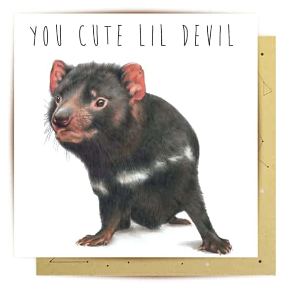 greeting card little tasmanian devil