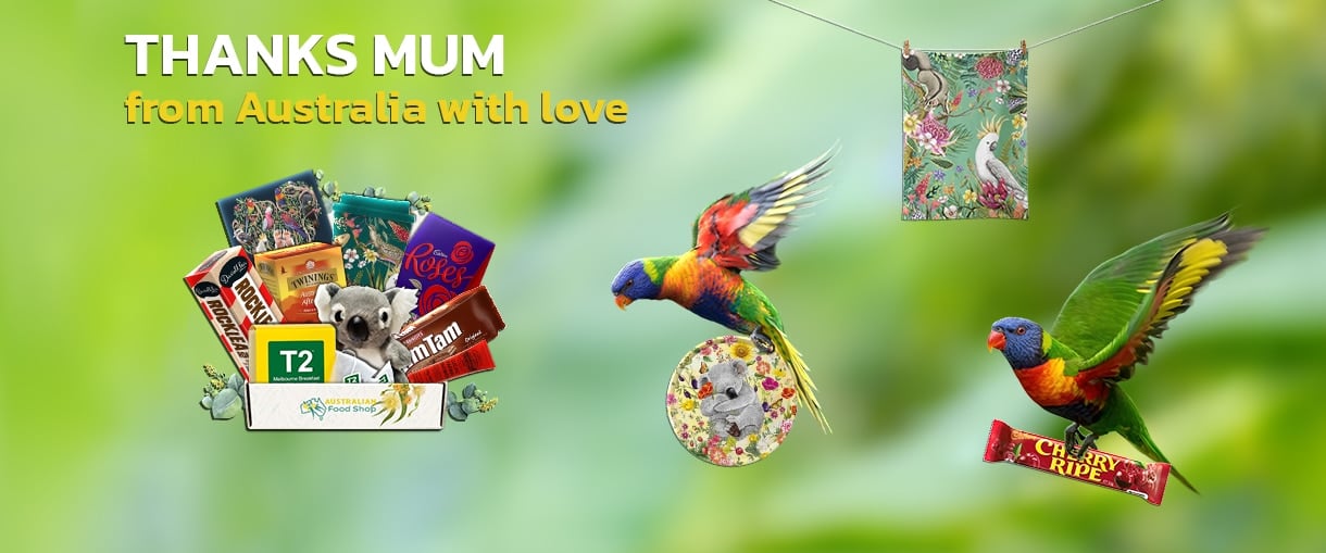 Mothers Day Website Banner no Button